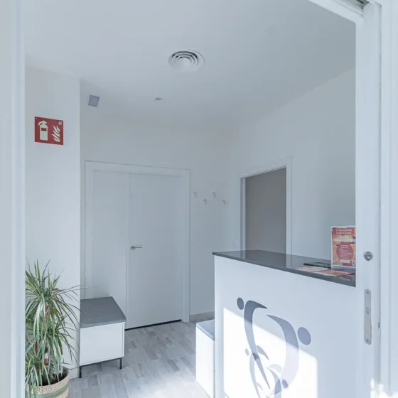 Fisioterapia Clínica, Clases, Entrenamiento personal, Adaptación deportiva, Talleres y formación